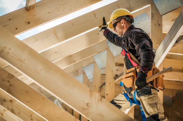 Professional Roofing Contractor in Carrollwood, FL