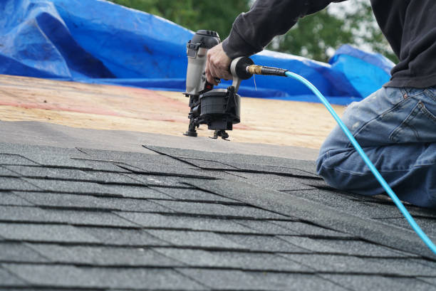 Quick and Trustworthy Emergency Roof Repair Services in Carrollwood, FL