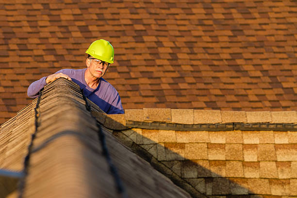 Best Residential Roofing Contractor  in Carrollwood, FL